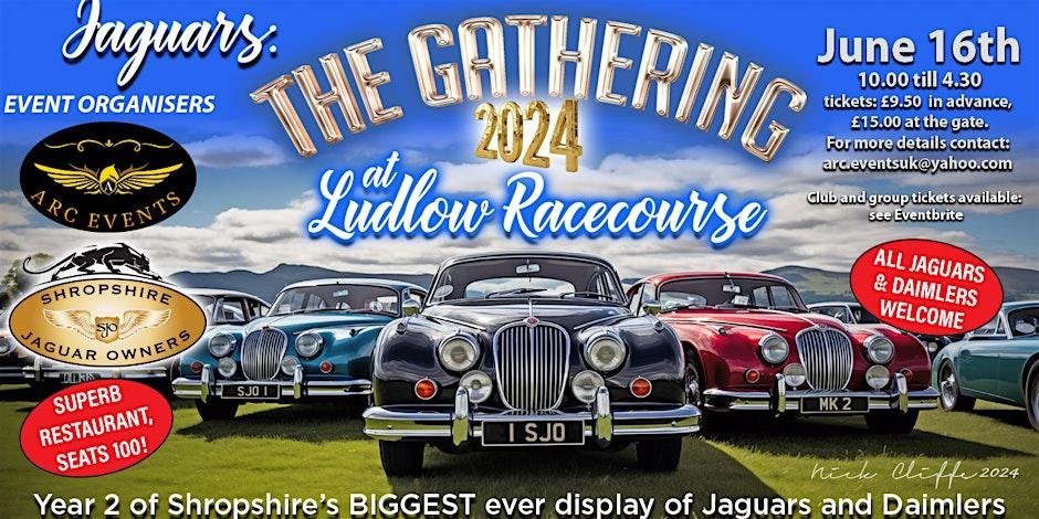 More information about "Jaguar's The Gathering 2024"